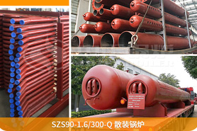 中正鍋爐為確保鍋爐項(xiàng)目順利展，向巴基斯坦提供了專業(yè)的技術(shù)指導(dǎo)