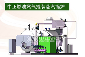 中正撬裝蒸汽鍋爐系統(tǒng)在中國(guó)的優(yōu)勢(shì)是顯著的，并成功進(jìn)入海外市場(chǎng)